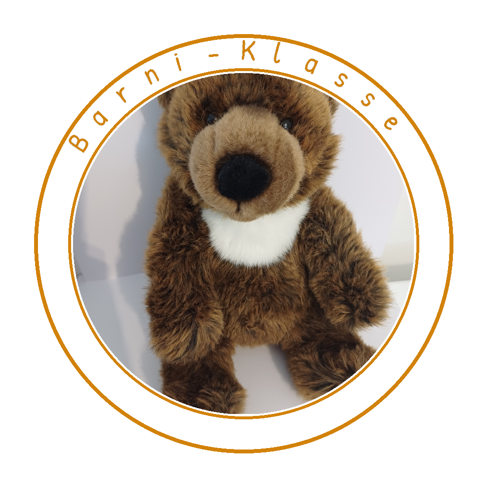 Barni-Klasse