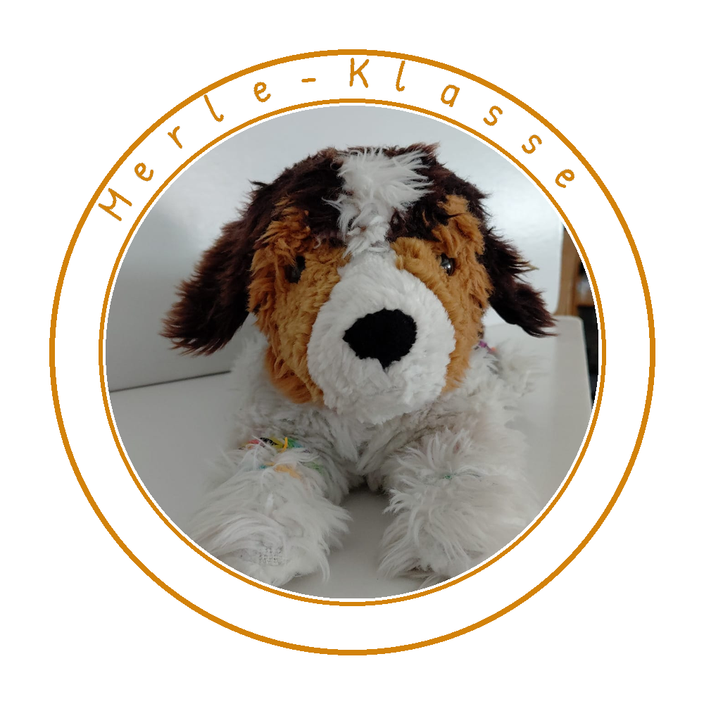 Merle-Klasse