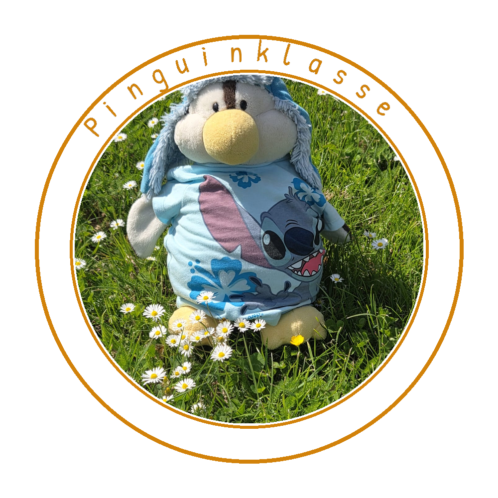 Pinguinklasse